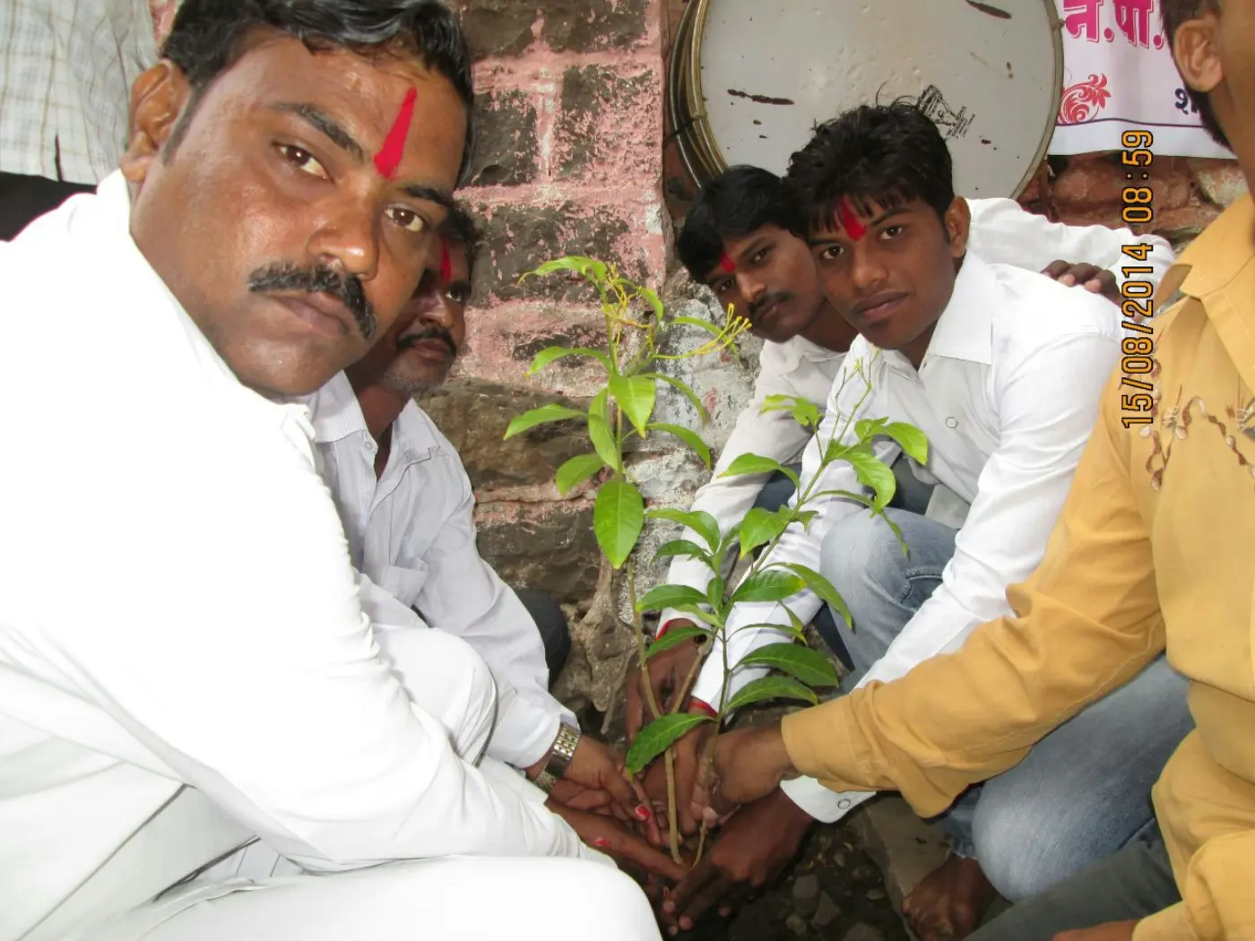 Planting a sapling